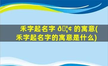 禾字起名字 🦢 的寓意(禾字起名字的寓意是什么)